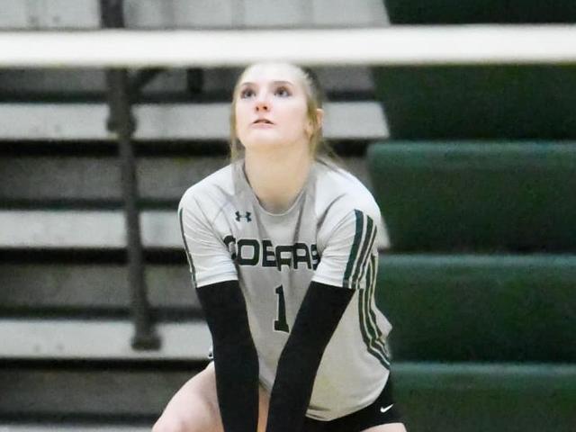 Brynn Shupe